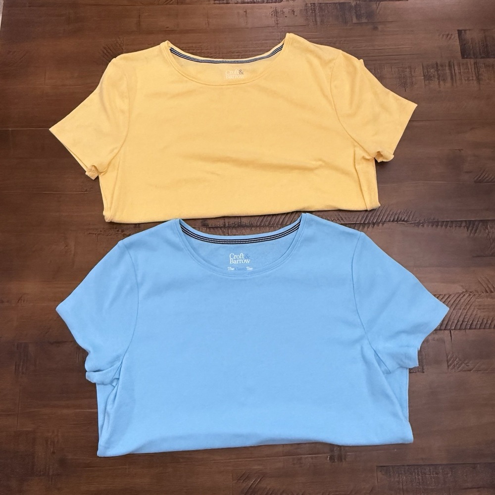 Croft & Barrow Set Of 2 Tops Shirts Women's Size Petite Medium Short Sleeve